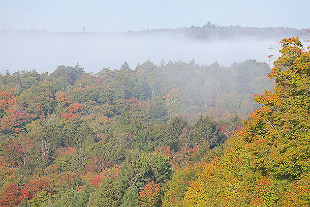 Near Smoke Lake in Algonquin Park on September 19, 2024.