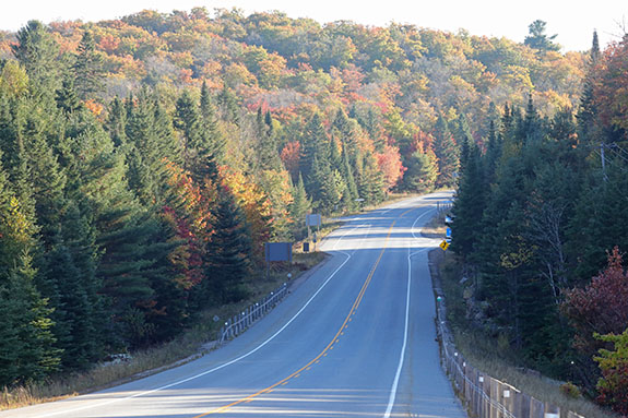 At km 20 of Highway 60 in Algonquin Park on September 30, 2024.