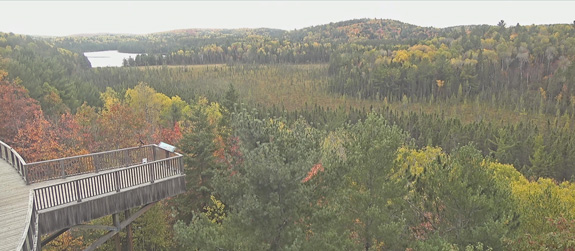 Fall colour at Algonquin Park Visitor Centre in Algonquin Park on October 8, 2024.