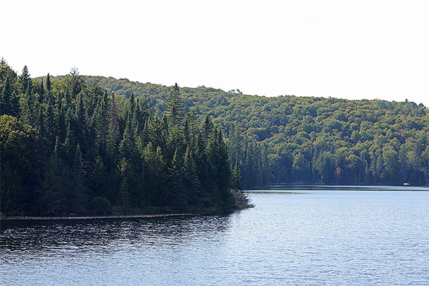 At Brewer Lake in Algonquin Park on September 10, 2025 (click to enlarge). 