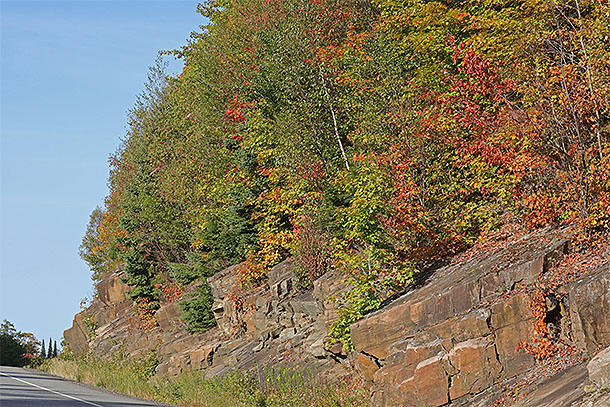 Near Park Lake in Algonquin Park on September 15, 2025 (click to enlarge). 