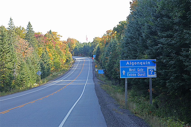 West Gate of Algonquin Park on September 15, 2025 (click to enlarge). 