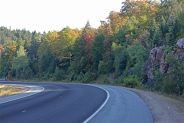 At km 12 of Highway 60 in Algonquin Park on September 15, 2025 (click to enlarge). 