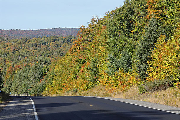 At km 16 of Highway 60 in Algonquin Park on September 15, 2025 (click to enlarge). 