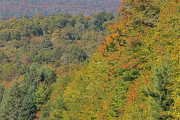 Near Smoke Lake in Algonquin Park on September 15, 2025 (click to enlarge). 