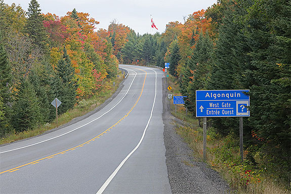 At km 0 of Highway 60 in Algonquin Park on September 18, 2025 (click to enlarge). 