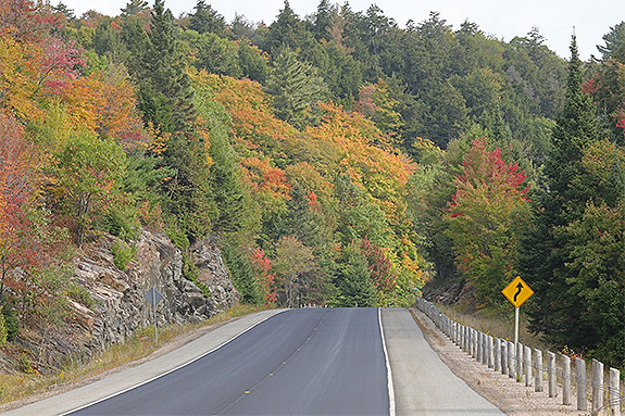 At km 13 of Highway 60 in Algonquin Park on September 18, 2025 (click to enlarge). 
