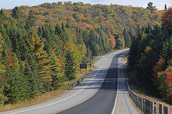 At km 20 of Highway 60 in Algonquin Park on September 18, 2025 (click to enlarge). 