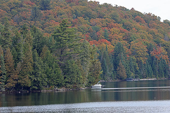 Tea Lake in Algonquin Park on September 18, 2025 (click to enlarge). 