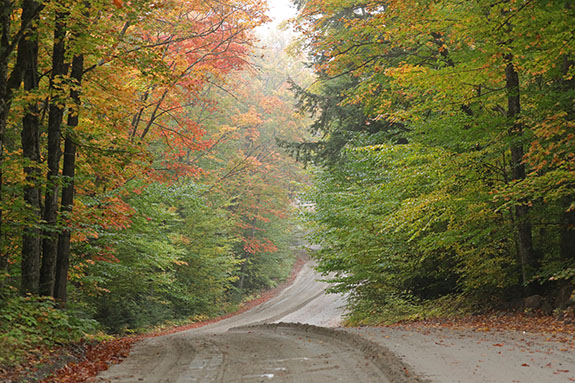 Looking south on the Arowhon Road in Algonquin Park on September 23, 2025 (click to enlarge). 
