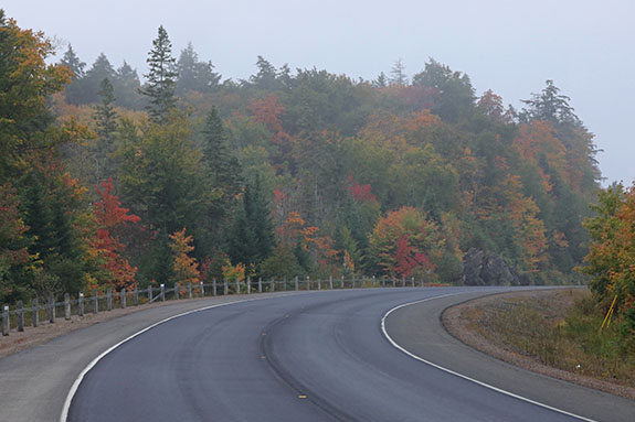 At km 12 of Highway 60 in Algonquin Park on September 23, 2025 (click to enlarge). 