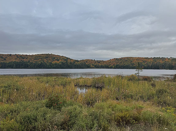 At Brewer Lake in Algonquin Park on September 25, 2025