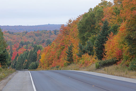At km 16 of Highway 60 in Algonquin Park on September 25, 2025