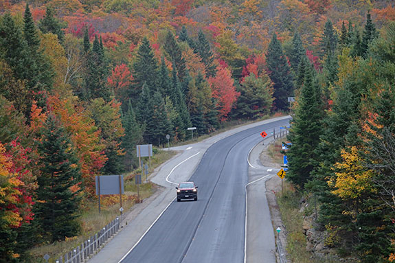 At km 20 of Highway 60 in Algonquin Park on September 25, 2025
