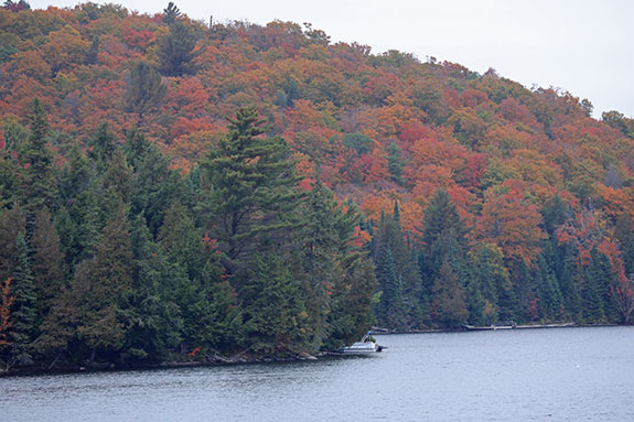 Tea Lake in Algonquin Park on September 25, 2025