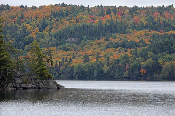 At Lake of Two Rivers in Algonquin Park on September 25, 2025