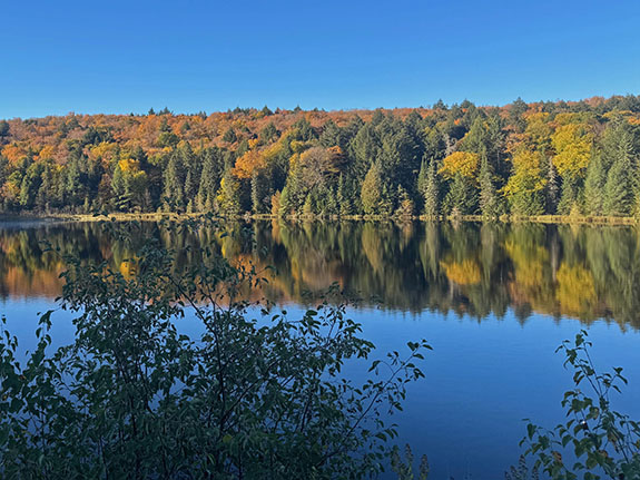 At Brewer Lake in Algonquin Park on October 1, 2025
