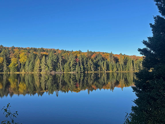At Brewer Lake in Algonquin Park on October 1, 2025