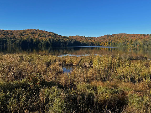 At km 48 of Highway 60 in Algonquin Park on October 1, 2025