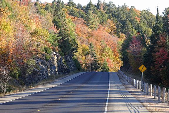 At km 13 of Highway 60 in Algonquin Park on October 1, 2025
