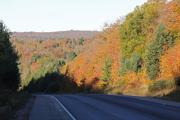 At km 16 of Highway 60 in Algonquin Park on October 1, 2025