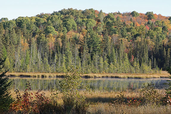 At Ring-necked Pond in Algonquin Park on October 1, 2025