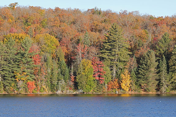 At Tea Lake in Algonquin Park on October 1, 2025