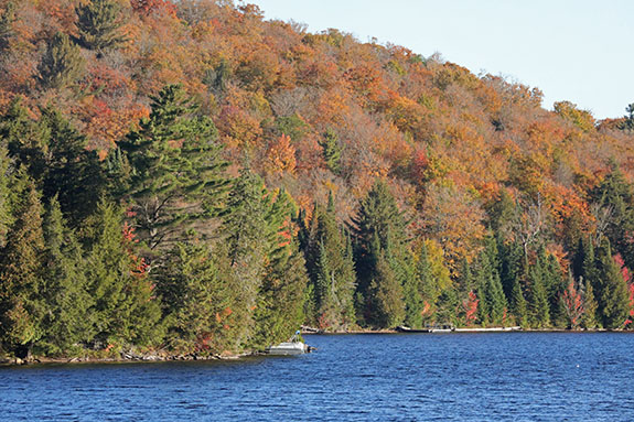 At Tea Lake in Algonquin Park on October 1, 2025