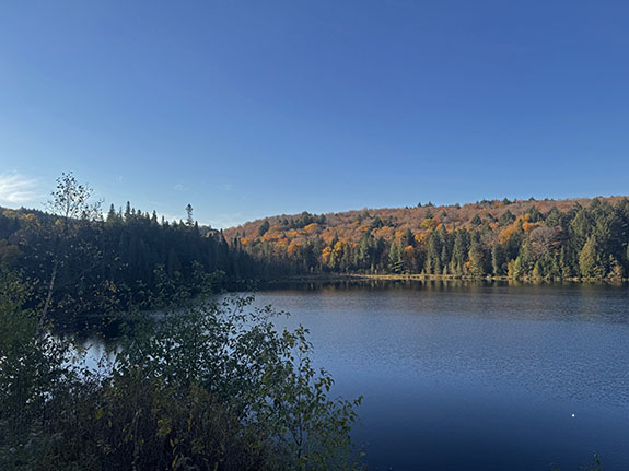 Image: At Brewer Lake in Algonquin Park on October 6, 2025. (Click image to enlarge.)