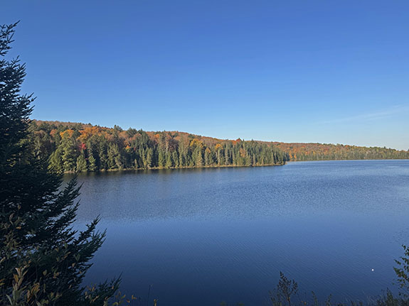 Image: At Brewer Lake in Algonquin Park on October 6, 2025. (Click image to enlarge.)