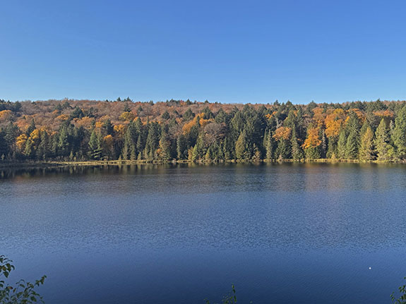 Image: At Brewer Lake in Algonquin Park on October 6, 2025. (Click image to enlarge.)