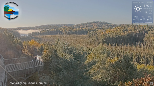 Fall colour at the Algonquin Park Visitor Centre on October12, 2025