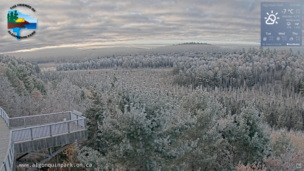 Click for a live view of Algonquin Park's fall colours!