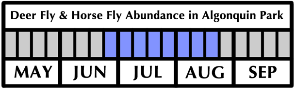 Deer Fly and Horse Fly Flight Period and Abundance in Algonquin Park