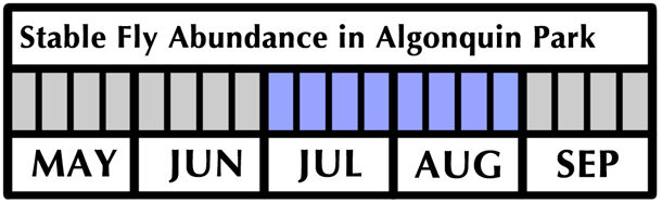 Stable Fly Flight Period and Abundance in Algonquin Park