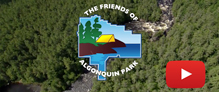 The Stewardship of Algonquin Park - Join The Friends of Algonquin Park
