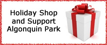 Holiday Shop and Support Algonquin Park