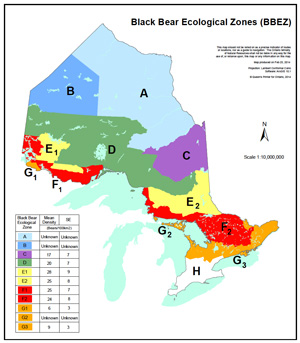Ontario Black Bear Density