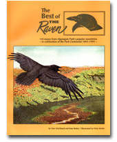 Best of the Raven - Volume 1