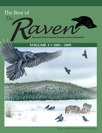 Best of the Raven Volume 3