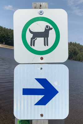 Dog (pet) Beach Sign in Algonquin Park