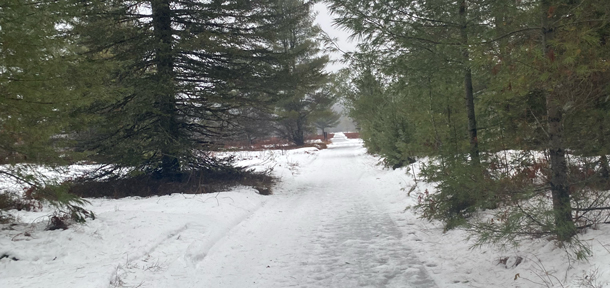 Airfield Ski Trail, Algonquin Park