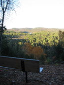 Bat Lake Trail in Algonquin Park