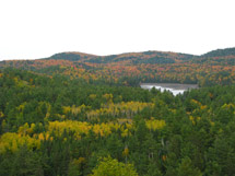 Bat Lake Trail Algonquin Park