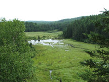 Beaver Pond Trail