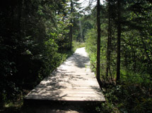 Beaver Pond Trail in Algonquin Park