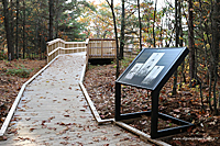 Fire Tower Trail in Algonquin Park