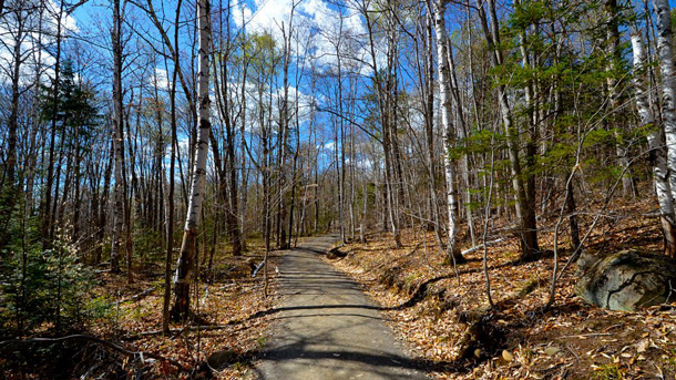 Lookout Trail in Algonquin Park