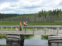 Spruce Bog Boardwalk Trail