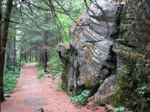 Spruce Bog Boardwalk Trail